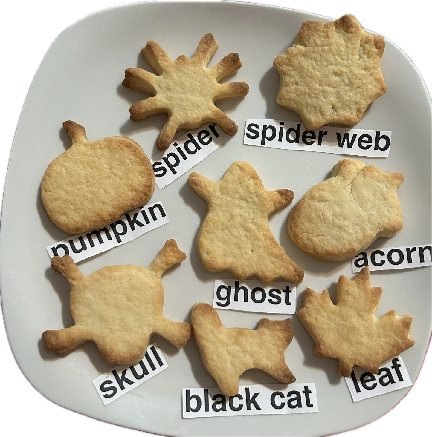 Halloween Cookies – Decorate It Yourself! ( per 1lb)
